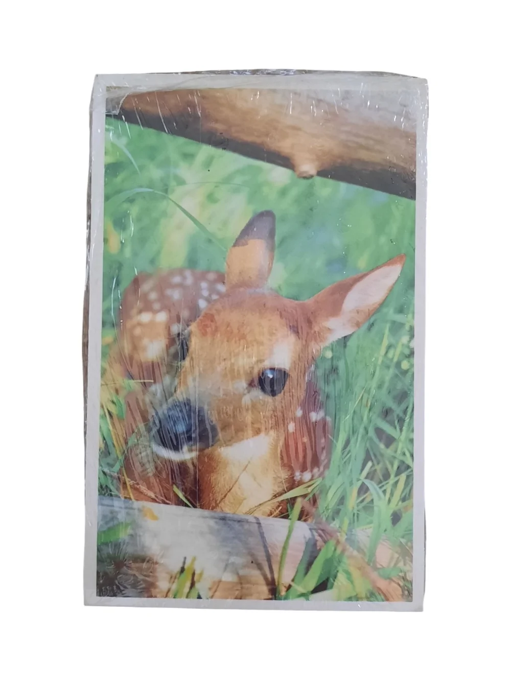 Vintage Nature Deer Print Postcard - Brown/White